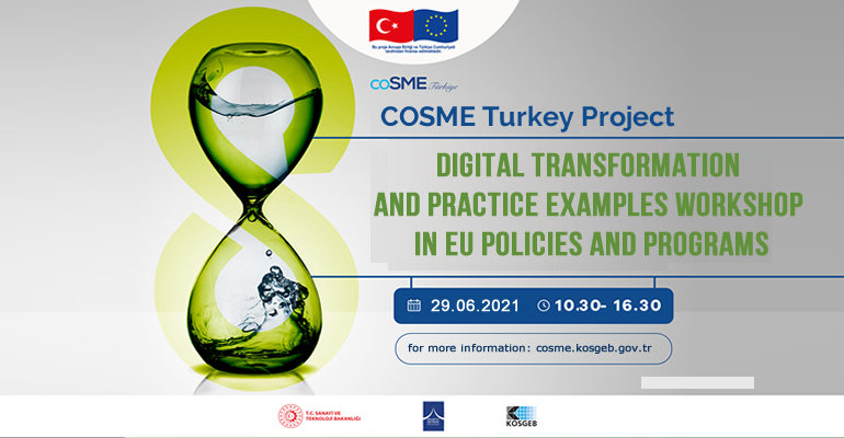 COSME Turkey Project 